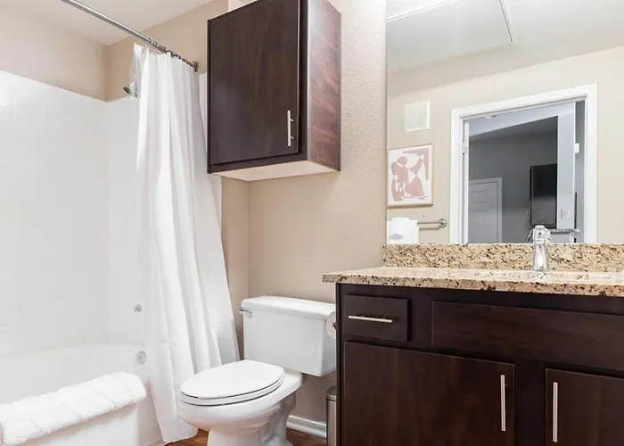 Apartment Landing Modern With Amazing Amenities